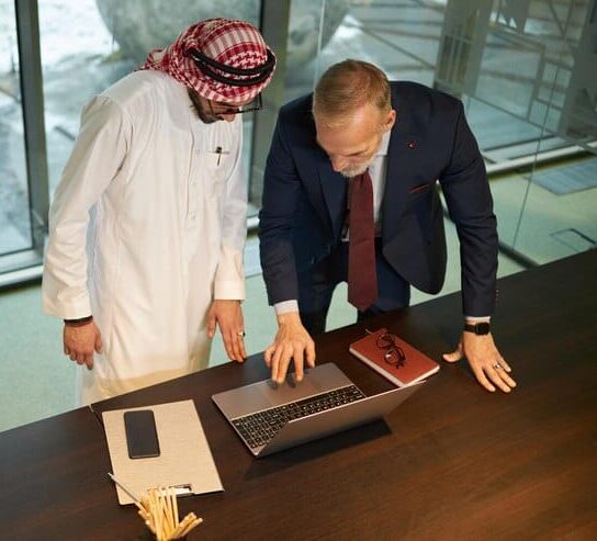 two-diverse-businessmen-using-laptop-office_274689-59074